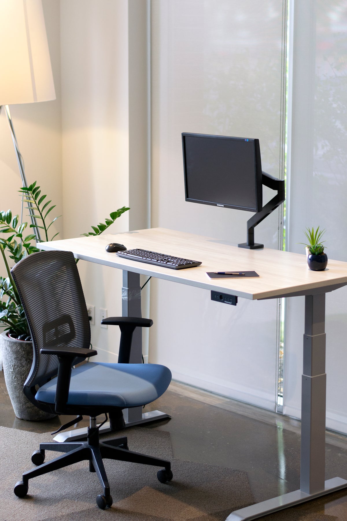 Height adjustable desk at standing height with Winter Wood laminate top and silver legs. Grey and blue office chair in front. 