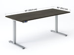 Load image into Gallery viewer, Sit stand desk with Grey Dusk laminate top showing 60&quot; x 30&quot; dimensions.
